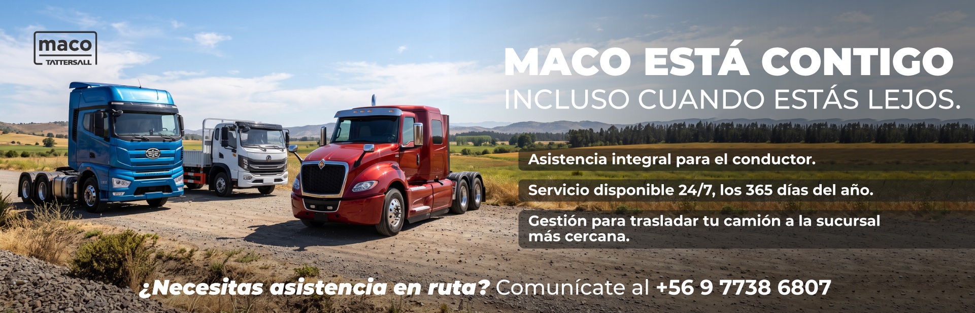 Maco está contigo incluso cuando estás lejos.