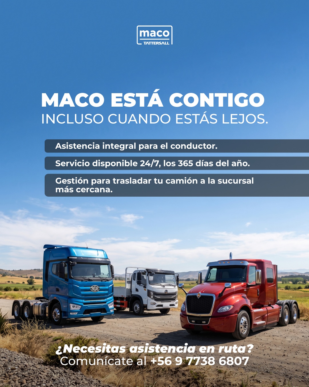 Maco está contigo incluso cuando estás lejos.