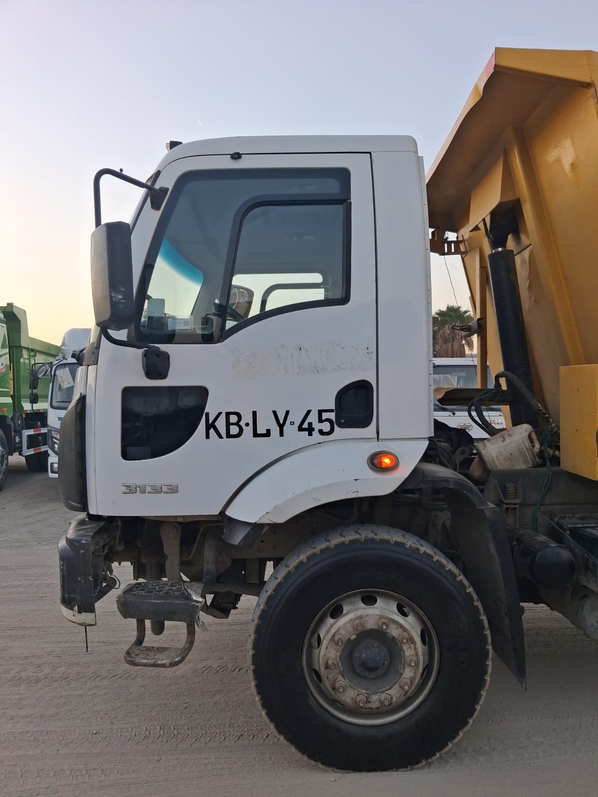 FORD CARGO 3133C