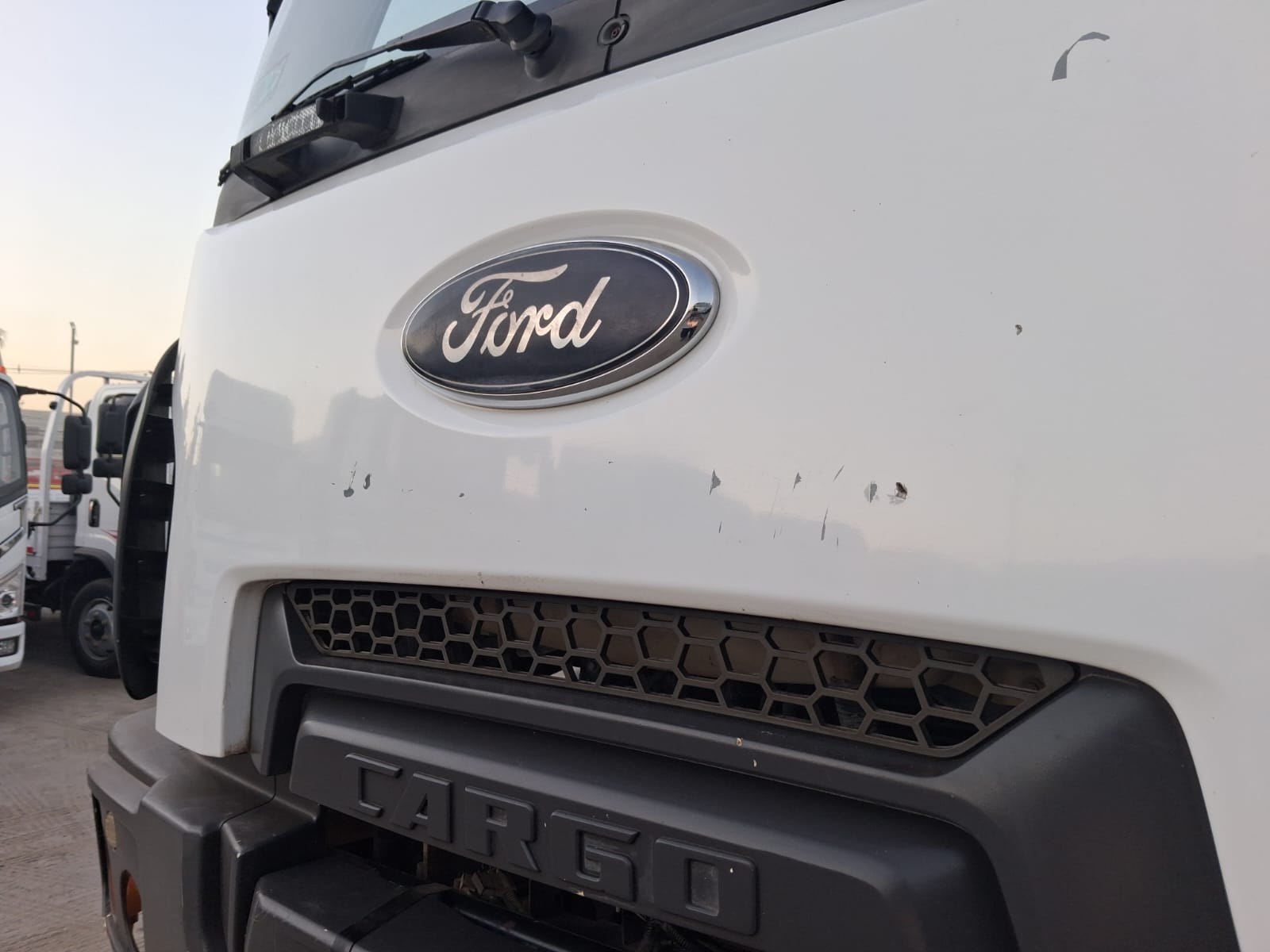 FORD CARGO 3133C