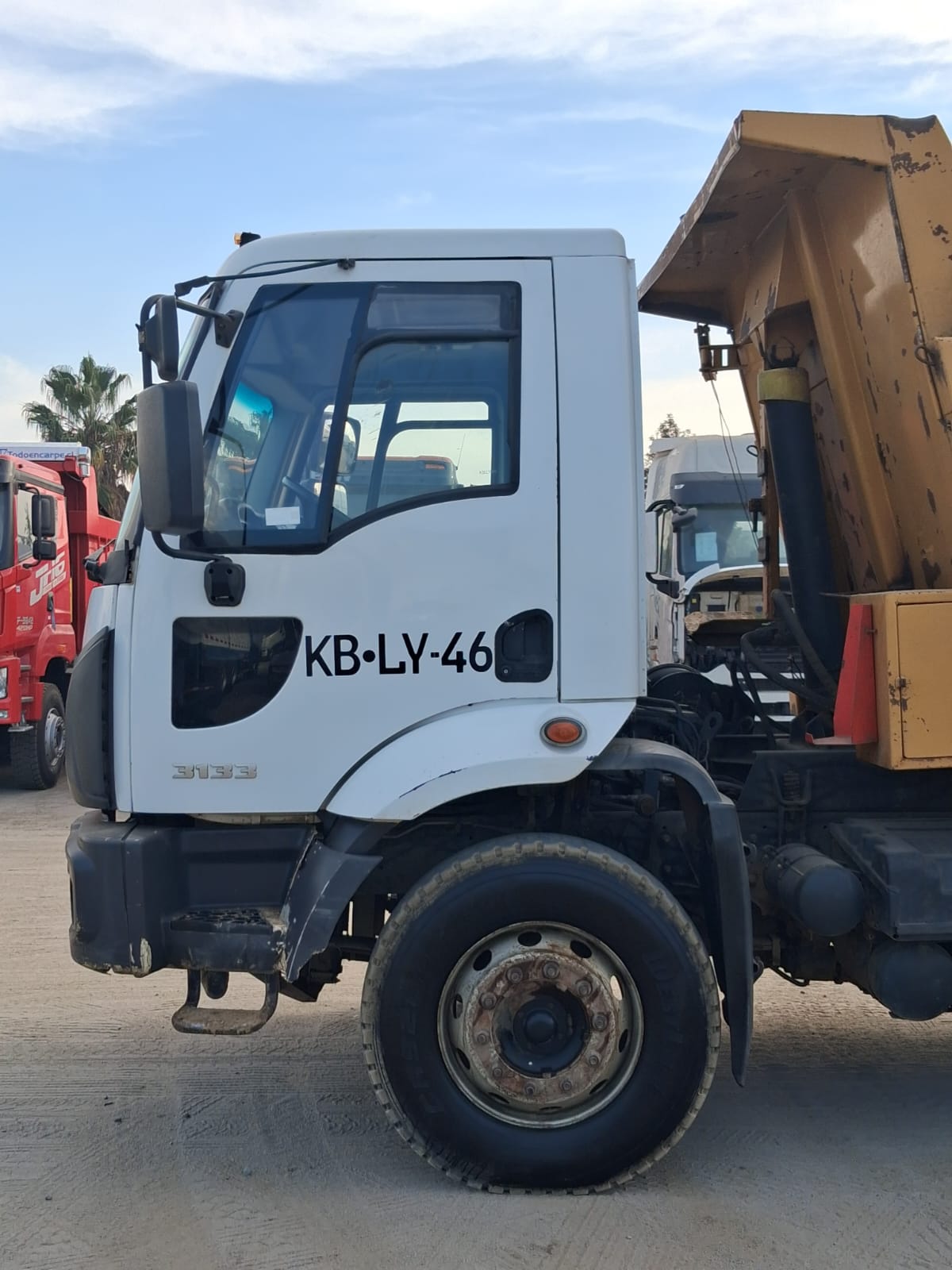 FORD CARGO 3133C 